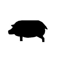 PD046IBF.PCT