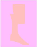PD037BCF.PCT