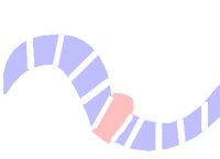 PD043NCW.PCT