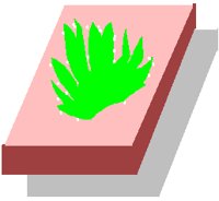 PD027RCS.PCT