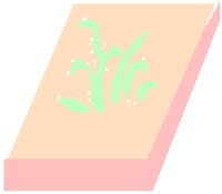 PD027QCW.PCT