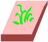 PD027QCU.PCT