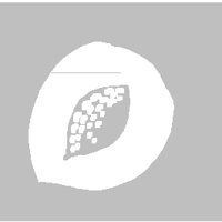 PD028DBW.PCT