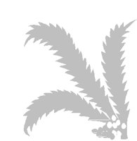 PD028IBW.PCT