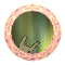 PEEP346.GIF