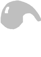 PD040IBW.PCT