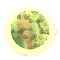 PEEP298.GIF