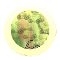 PEEP297.GIF