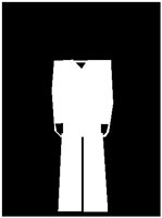 PD017FBI.PCT
