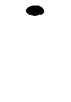 PD016PBF.PCT