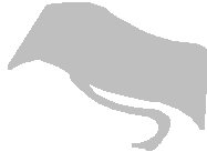 PD046EBW.PCT