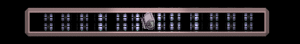 ANISP495.GIF