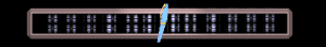ANISP493.GIF