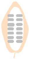 PD051ACW.PCT