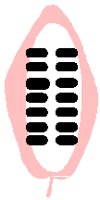 PD051ACU.PCT
