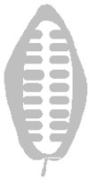 PD051ABW.PCT