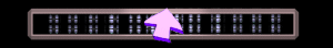 ANISP488.GIF