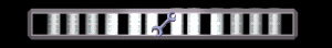 ANISP449.GIF
