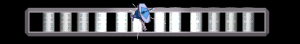 ANISP447.GIF