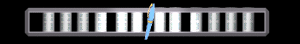 ANISP443.GIF