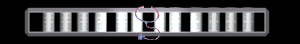 ANISP440.GIF