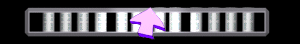 ANISP438.GIF