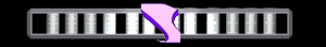 ANISP435.GIF