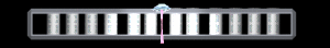 ANISP423.GIF