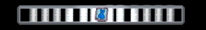 ANISP417.GIF