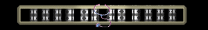 ANISP40.GIF