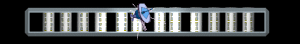 ANISP397.GIF