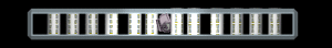 ANISP395.GIF
