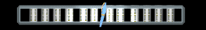 ANISP393.GIF