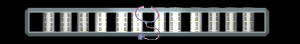 ANISP390.GIF