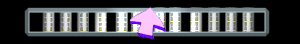 ANISP388.GIF
