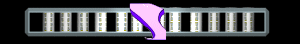 ANISP385.GIF
