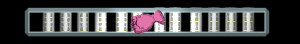 ANISP377.GIF