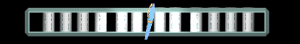 ANISP343.GIF