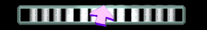 ANISP338.GIF