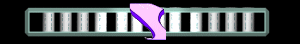 ANISP335.GIF