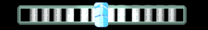 ANISP324.GIF