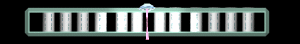 ANISP323.GIF