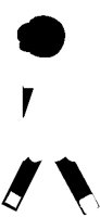 PD009SBU.PCT
