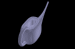 WATER~14.GIF
