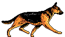 WOLF.GIF