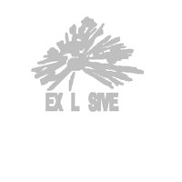 PD136EBW.PCT