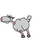 SHEETFUN.GIF