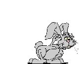 RABIT.GIF