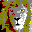 LION.GIF