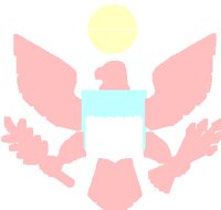 PD117FCW.PCT